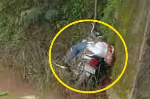 Jashpur Accident Breaking : युवक बाईक सहित पुलिया के नीचे गिरा..मौके पर ही तोड़ा दम..मृतक की हुई पहचान..पढ़ें पूरी खबर