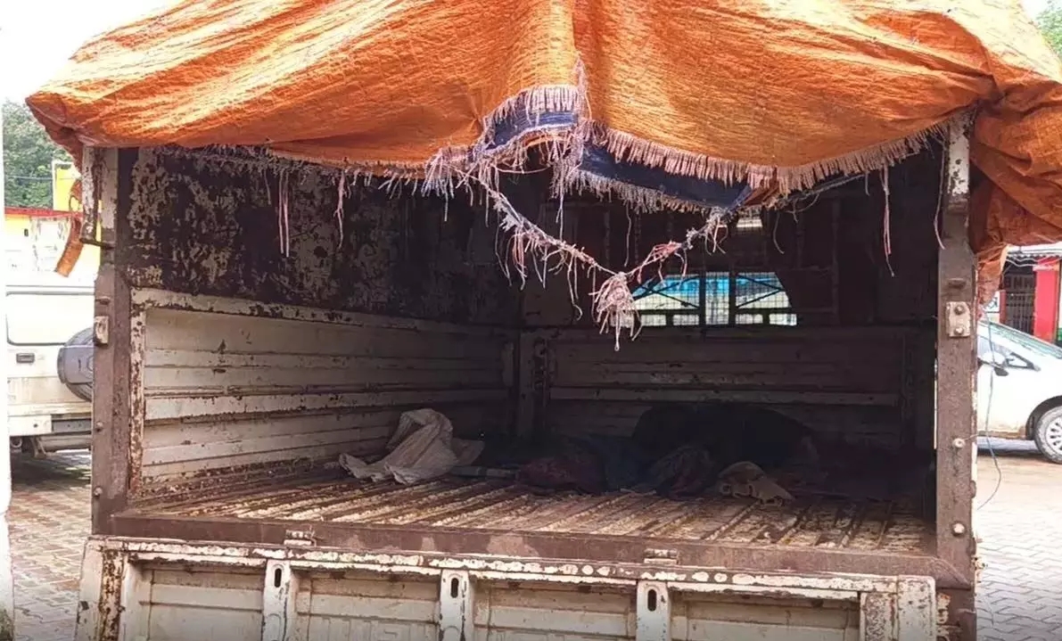 CG Big News : सरकार की सब दावा फेल.! डेडबॉडी ले जाने के लिए नहीं मिला शववाहन..परिजन पिकअप वाहन की व्यवस्था की.. वाहन किराया न होने पर जमीन गिरवी..पढ़ें पूरी ख़बर