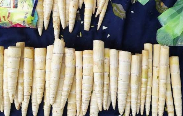 Recipe : बस मानसून में मिलती है यह सब्जी..जंगलों से बाजार पहुंचते हाथों-हाथ बिक जाती..स्वाद के सामने मटन फेल