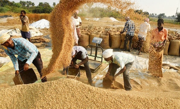 Big News : छत्तीसगढ़ में अब मिलर्स को मिलिंग के बदले पैसे नहीं, धान देंगे?..पढ़ें पूरी खबर