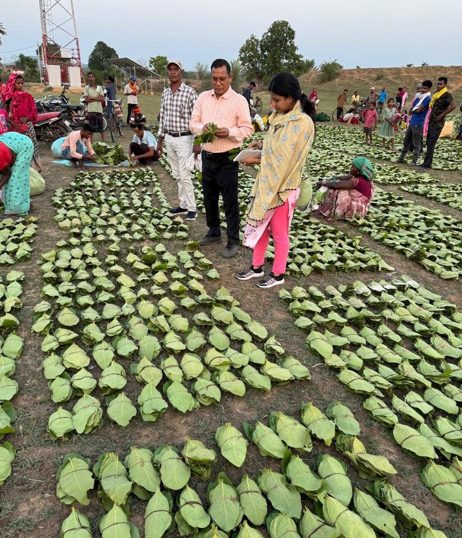 तेंदूपत्ता संग्राहको के लिए सरकार ने एक और वादा किया पूरा&nbsp; : मुख्यमंत्री विष्णु देव साय से 21 जून को तपकरा से करेंगे प्रदेशव्यापी चरण पादुका योजना का शुभारंभ