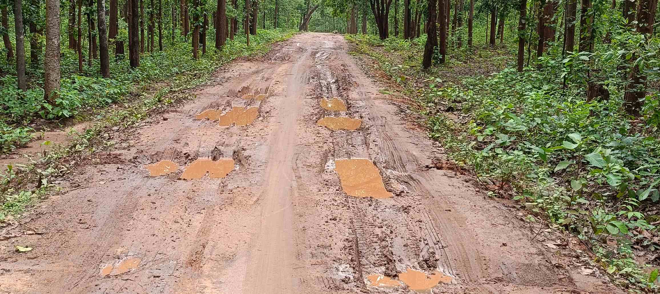*नदी नाले पर पुल नही होने से गावों को टापू बनते सुना होगा....यदि सड़क की वजह से टापू बनते नही सुना है तो अब जान लीजिए....बादलखोल अभ्यारण्य में बसे यह तीन पंचयात.....पढ़ें पूरी खबर विस्तार से:-*