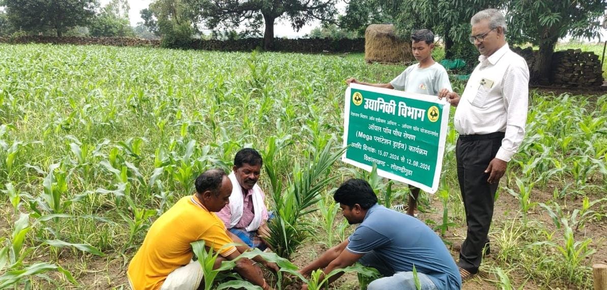 बंदूक की गूंज की जगह बस्तर में साग-सब्जी, फलों की खेती से हो रहा चमत्कारिक बदलाव