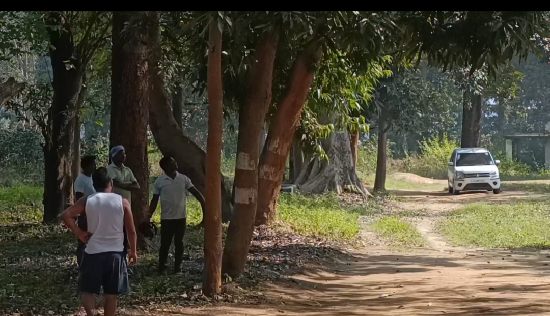 जब विभाग के लोग ही बन गए भक्षक तो कैसे होगी हरियाली,पर्यावरण संरक्षण बढ़ाने की बजाए पेड़ पर चलाई कुल्हाड़ी.....इसी तरह हरे-भरे पेड़ पर चलती रही कुल्हाड़ी तो मानव जीवन के लिए पड़ेगा भारी