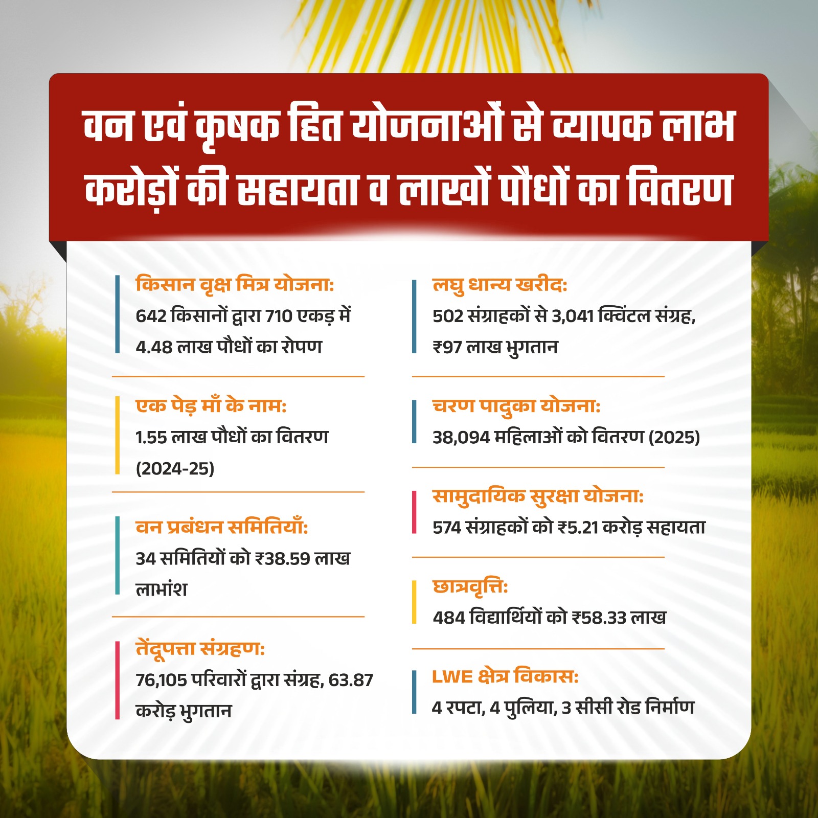 वन विभाग की योजनाओं ने बदली ग्रामीणों की जीवनशैली,कृषकों ने 710 एकड़ राजस्व भूमि पर लगाया 4 लाख 48 हजार 220 पौधा, मिला अतिरिक्त आय का अवसर