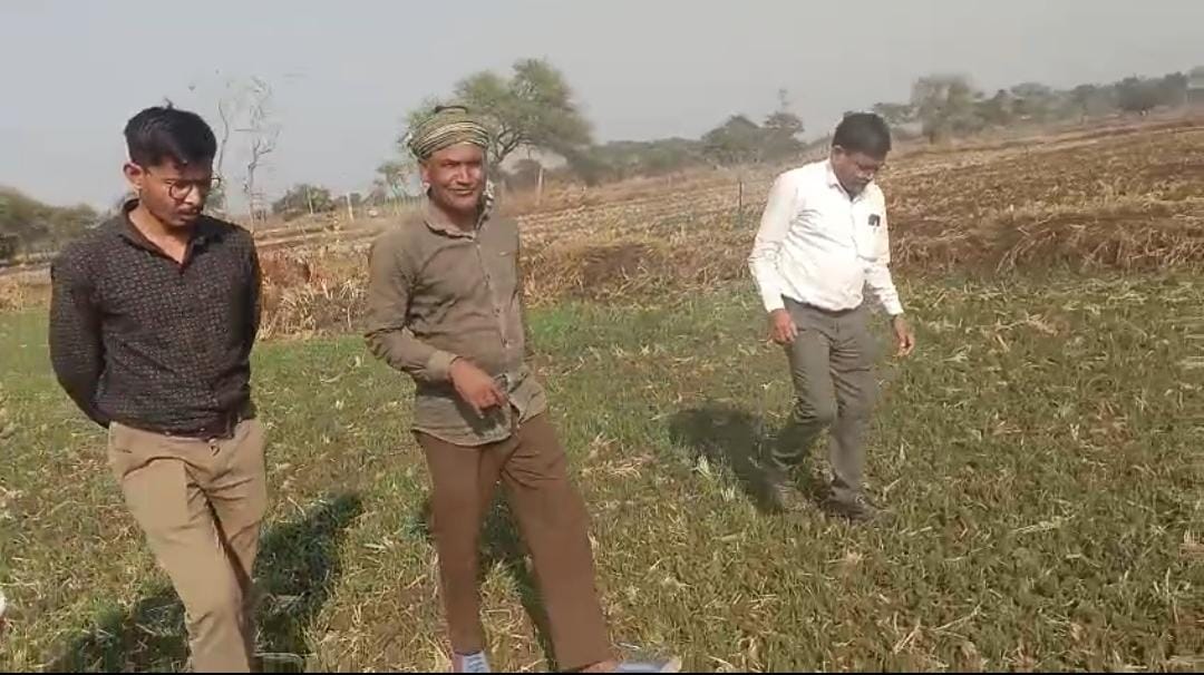 धान से हटे, लाभ में बढ़े:: जेवरा के दिलीप सिन्हा ने दलहन-तिलहन से रचा 25 लाख की सफलता की कहानी