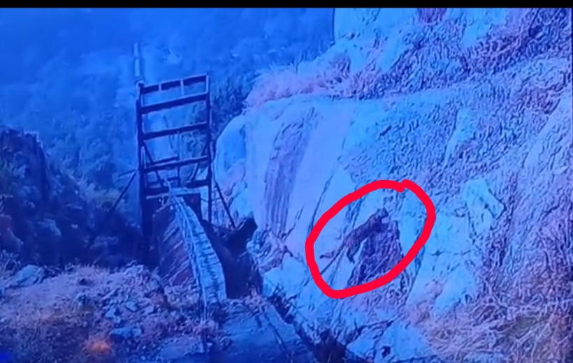 ब्रेकिंग न्यूज : गुल्लू हाइड्रो पावर के क्षेत्र में तेंदुए की दस्तक, CCTV में कैद हुई पूरी घटना, क्षेत्र में दहशत का माहौल