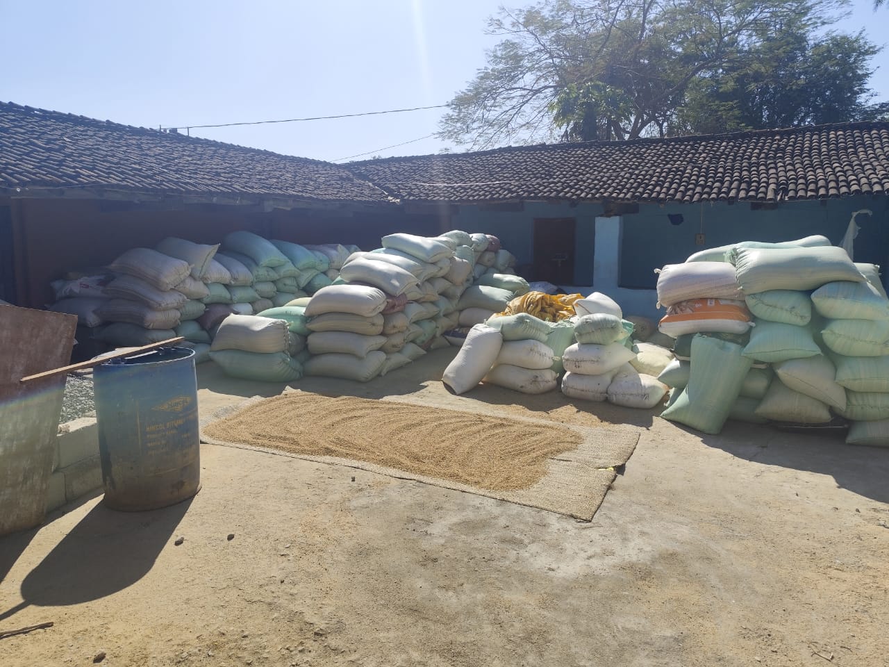 अवैध धान के खिलाफ बड़ी कार्यवाही: तपकरा के ग्राम जामबहार में एक घर से 40 क्विंटल अवैध धान जप्त, जिला प्रशासन और जशपुर पुलिस की संयुक्त टीम ने किया खुलासा