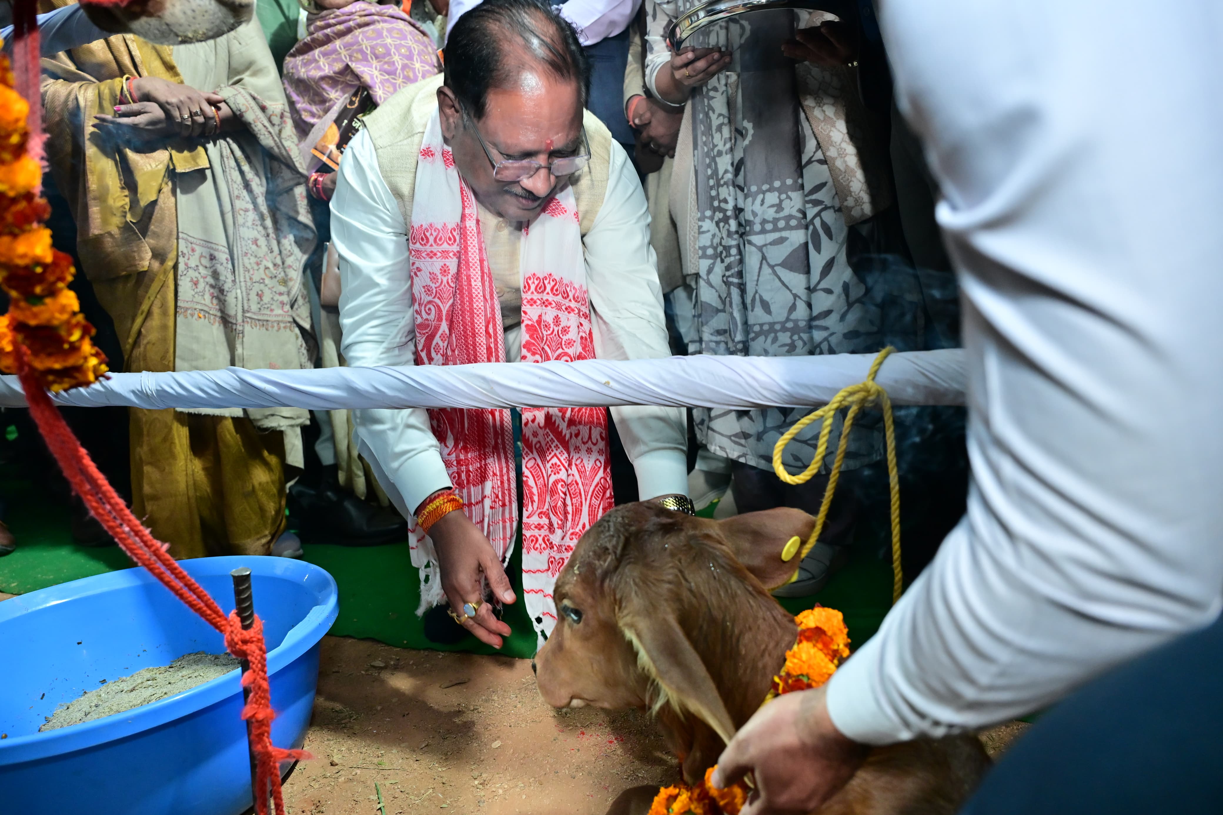 गौवंश संरक्षण के साथ महिला उद्यमिता को बढ़ावा, मुख्यमंत्री विष्णुदेव साय ने दुधारू पशु प्रदाय योजना अंतर्गत आदिवासी महिलाओं को वितरित कीं साहिवाल नस्ल की दुधारू गायें
