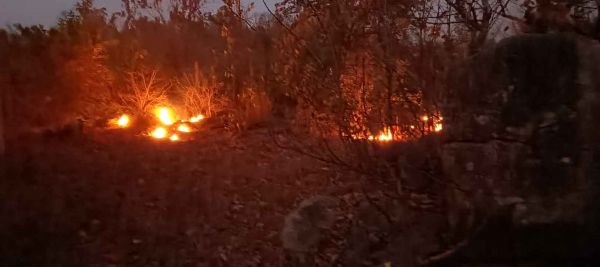 बादलखोल अभ्यारण्य विभाग बेबस या लापरवाह? जंगल की आग पर कब लगेगी लगाम .....फायर वाचरों के व्यवस्था के बाद भी अब देखना होगा की विभाग जंगल की आग रोकने में कितना सफल होगा&nbsp;