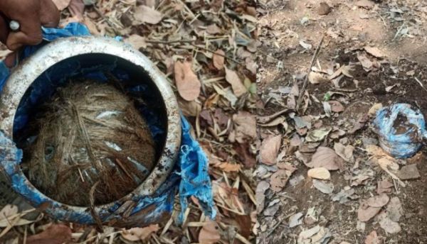 बड़ी खबर : गट्टाकाल के जंगल से 5 किलो का प्रेशर कुकर IED बरामद...जवानों ने किया डिफ्यूज...पढ़ें पूरी खबर