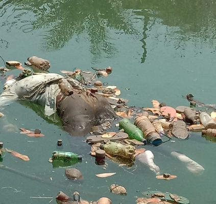 नहर में युवक की लाश मिलने से इलाके में मचा हड़कंप...पुलिस कर रही जांच...पढ़ें पूरी खबर