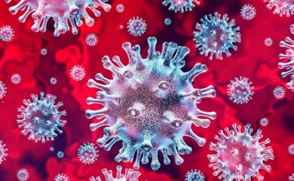 CG Corona Update : रायपुर, बिलासपुर और दुर्ग में मिले कोरोना के मरीज..प्रदेश में एक्टिव केस 41..पढ़ें पूरी ख़बर