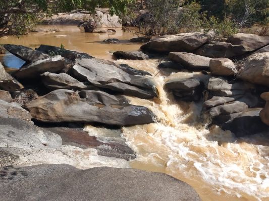 श्रद्वा और ज्ञान का अनोखा संगम शारदाधाम : मुख्यमंत्री विष्णुदेव साय के निर्देश पर शारदाधाम पर्यटन स्थलों की सूची में हुआ शामिल