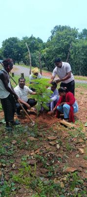 *"एक पेड़ माँ के नाम" अभियान के तहत महाकुल यादव समाज ने किया वृक्षारोपण, पर्यावरण संरक्षण एवं सामाजिक जागरूकता की दिशा में उठाया गया अनुकरणीय कदम.....*