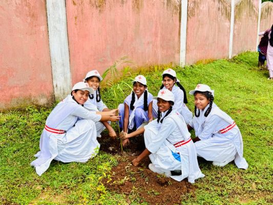 शासकीय उच्चतर माध्यमिक शाला खरसोता में&nbsp;बाल संसद चुनाव एवं एक पेड़ मां के नाम के तहत विद्यालय परिसर में किया गया वृक्षारोपण&nbsp;