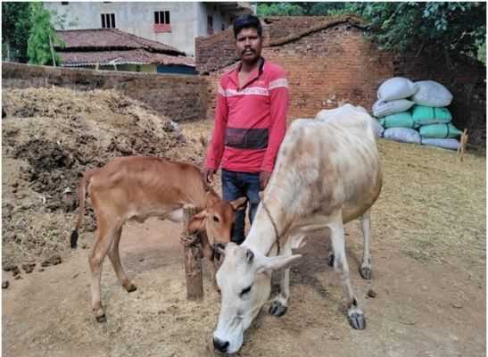 डेयरी उद्यमिता विकास योजना से सुखसागर आर्थिक रूप से हुआ मजबूत,16 से 18 लीटर तक हो रहा दूध उत्पादन