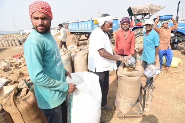 राज्य में सहकारी कर्मचारियों के हड़ताल का कोई प्रभाव नही,सभी जिलों में समर्थन मूल्य पर धान खरीदी का सिलसिला जारी,