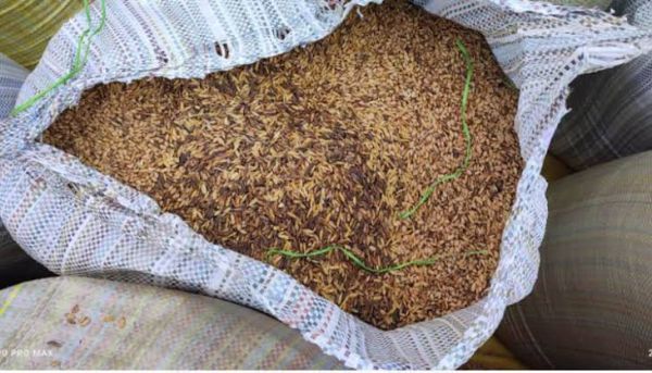 इस सहकारी समिति में पुराना धान लाते पकड़ा गया किसान, अभद्र व्यवहार पर बी.एन.एस.एस. के तहत मामला किया गया दर्ज,&nbsp; पढ़े विस्तार से.......